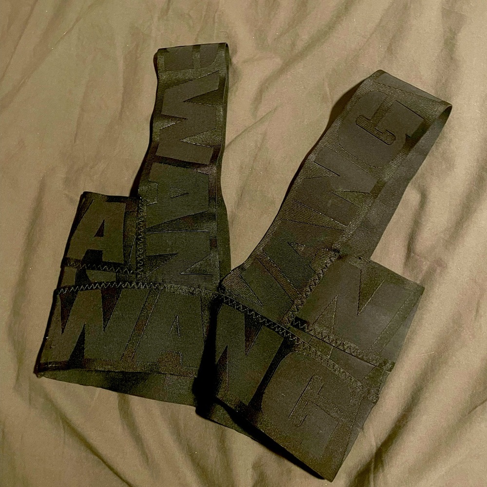 Alexander Wang Pour H&M